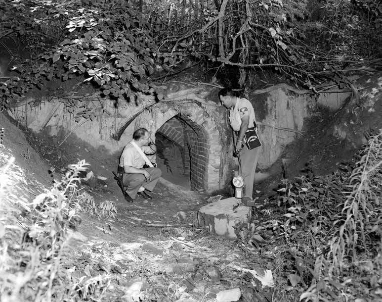 Cave